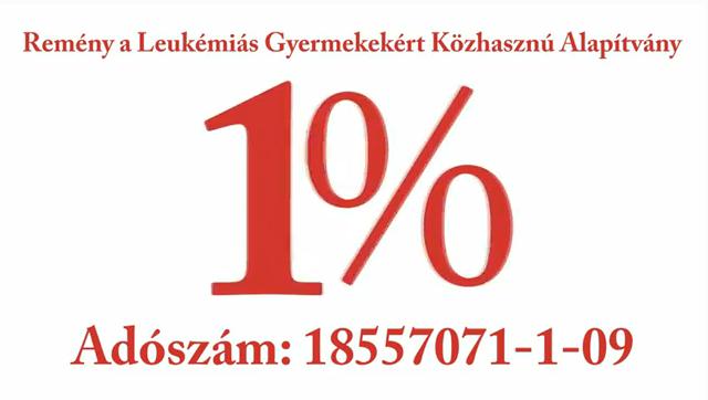 Adóbevallás ellenőrzése és a segítő adó 1%