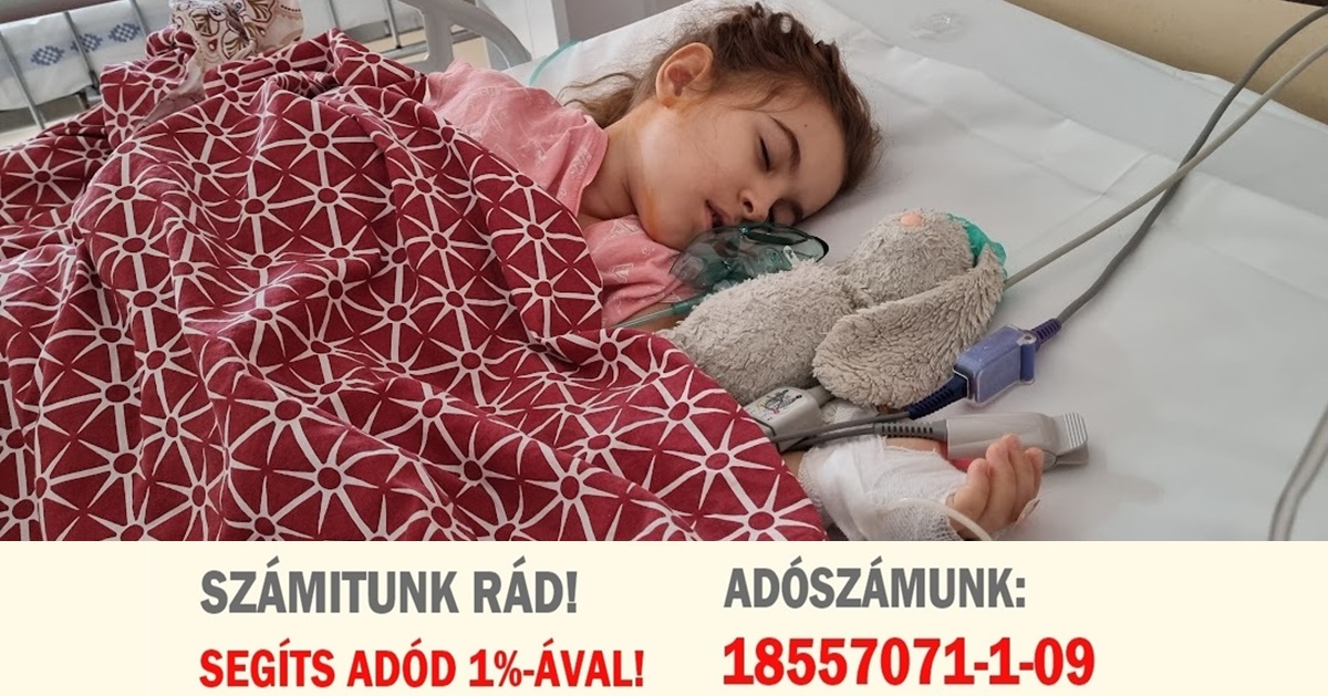 Így lehet felajánlani adónk 1%-át jótékony célra!