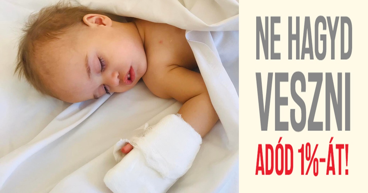 Adóbevallás ellenőrzése és a segítő adó 1%