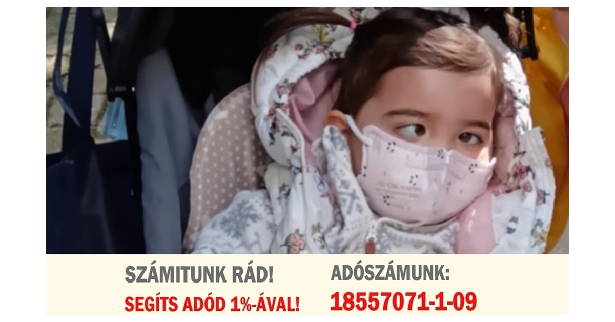 A NAV eSZJA felülete megnyílt, ajánld fel most adód 1%-át!