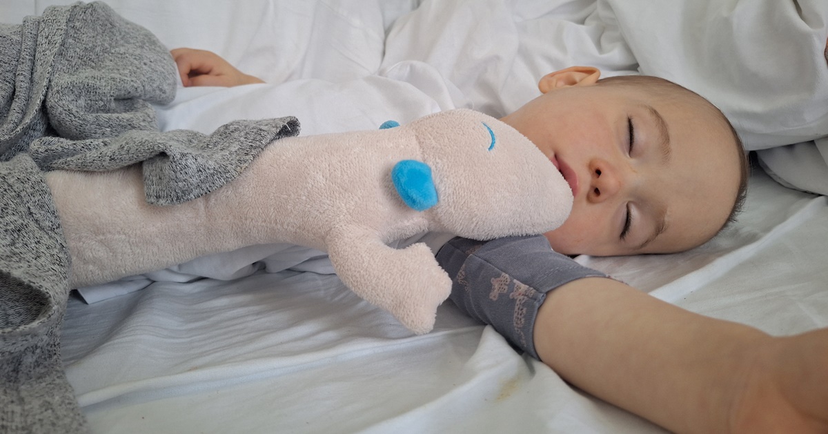 Bertold daganattal küzd, külföldről beszerezhető gyógyszerre gyűjtenek!