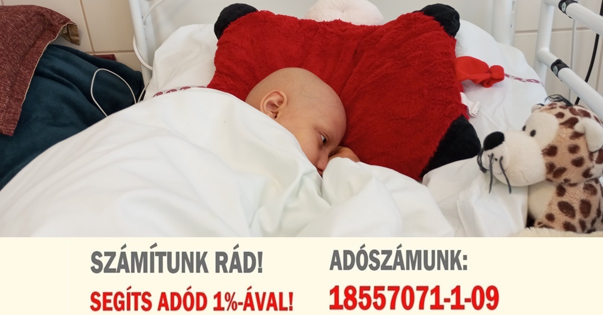 Adó 1% felajánlása 2026