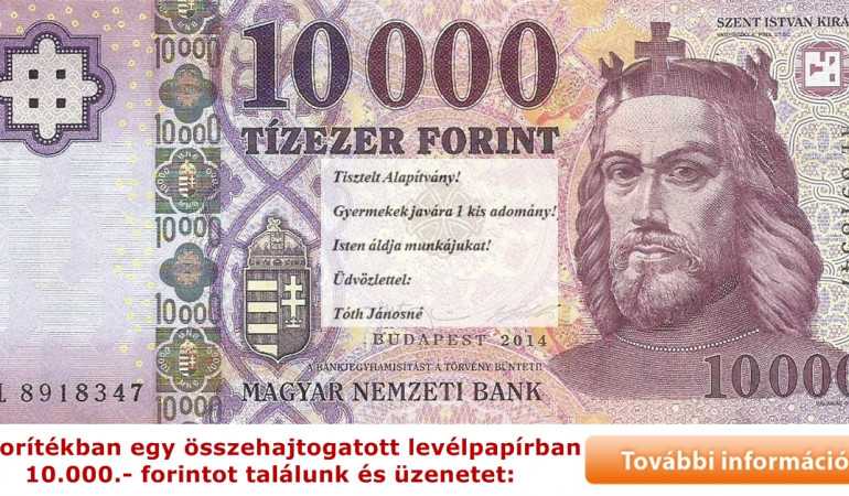 A meglepetés adomány „Henrietta 626” gyógyulását segíti!