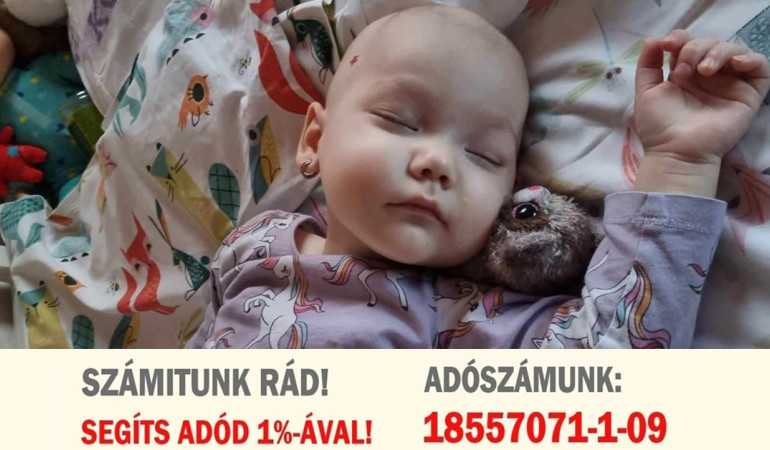 Csak 1 perc az adó 1%! Rendelkezz ügyfélkapun!