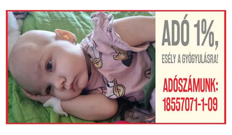 Személyi jövedelemadó bevallás elérhető!