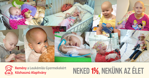 17 éve segítjük a leukémiás és daganatos gyermekeket!