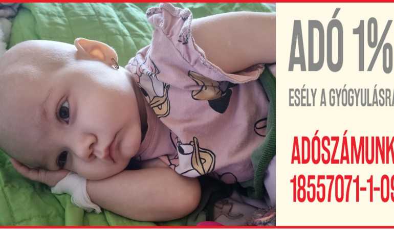 Az eSZJA felület megnyílt, lépj be és segíts, itt!