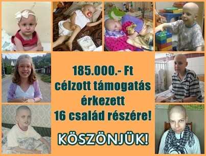 Célzott támogatás 2014. augusztusban