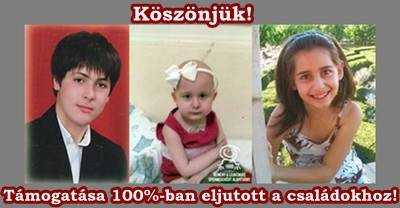 Célzott támogatás 2014. februárban