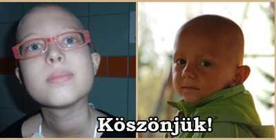 Célzott támogatás 2014. júniusban