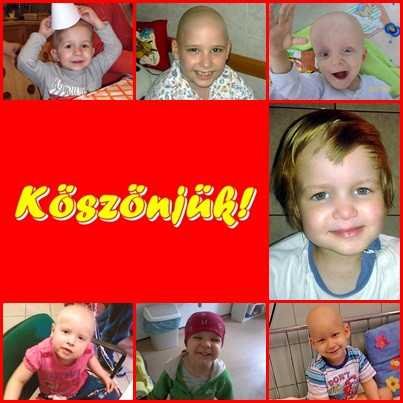  Célzott támogatások 2013 júniusban