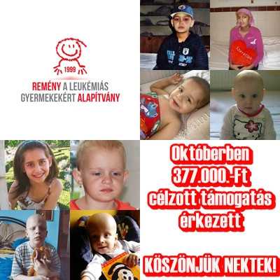 Célzott támogatások 2013. októberben