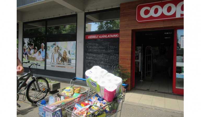 Nagybevásárlás egy beteg kislánynak és családjának