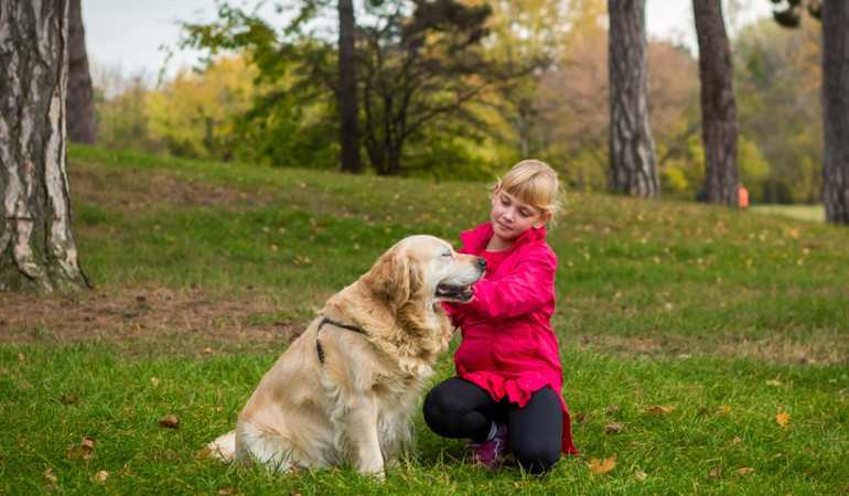 Hogyan rendelkezhet adója 1+1 százalékáról 2019-ben?