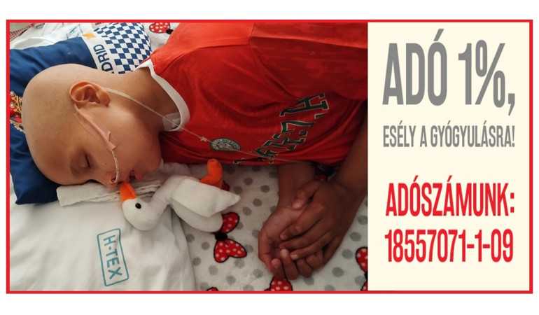 Nézd meg az adóbevallásodat és dönts adód 1%-áról is!