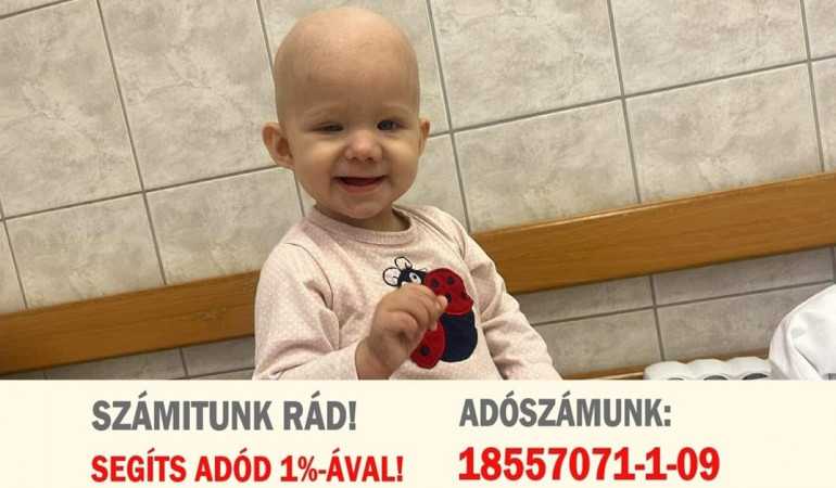 Már most dönthetsz DÁP vagy Ügyfélkapuval adód 1%-áról, számítanak rád!