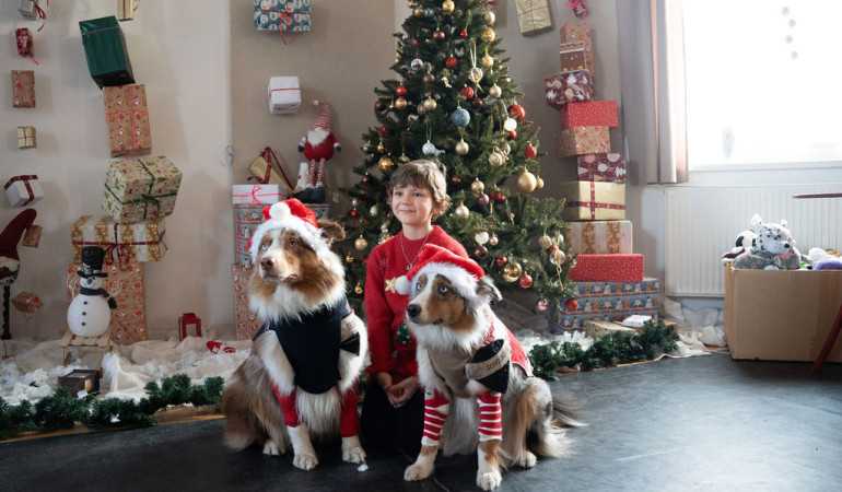 Örömet és szeretetet hozott a Mikulás a gyerekeknek!