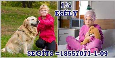 Rendelkező nyilatkozat letötése-adó 1% támogatás beteg gyermekeknek