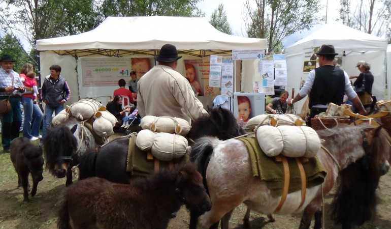 Részt vettünk a Nyeregszemlén