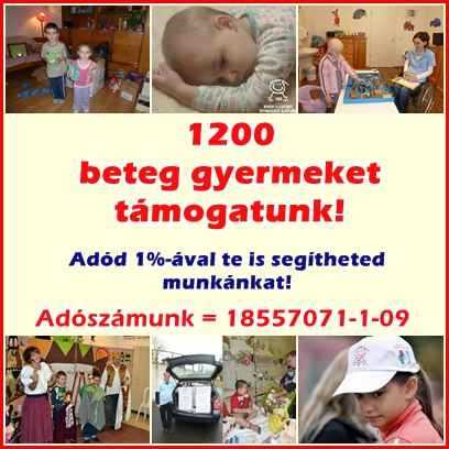 Segítsünk közös összefogással!