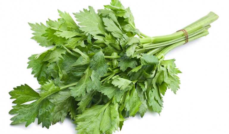 Utálod a zellert? Ne tedd, igazi csodanövény, megóv egy csomó bajtól!