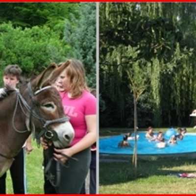 1% felajánlás a jótékony segítség! - alapítvány, adó 1%, támogatás