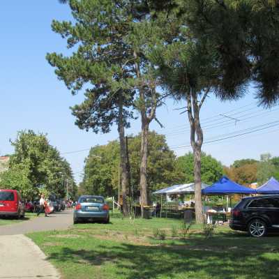 Kisszálláson mutathattuk be az alapítvány tevékenységét - alapítvány, adó 1%, támogatás