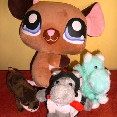 Érkeznek a „cipős doboznyi szeretet” ajándékai és a csokoládék 2014 - alapítvány, adó 1%, támogatás