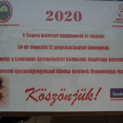 Szepesi Kertészet újra segíti a gyógyítást - alapítvány, adó 1%, támogatás