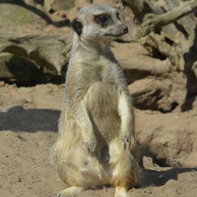 Csodálatos napot tölthettünk együtt a Nagyerdei Kultúrparkban - alapítvány, adó 1%, támogatás