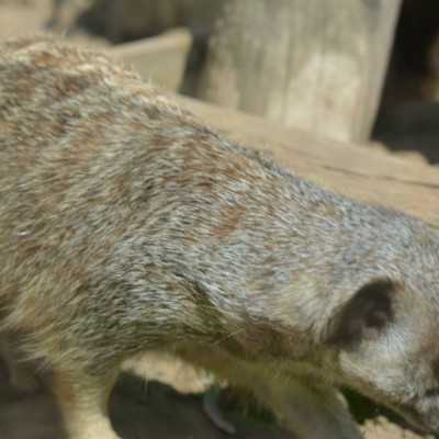 Csodálatos napot tölthettünk együtt a Nagyerdei Kultúrparkban - alapítvány, adó 1%, támogatás