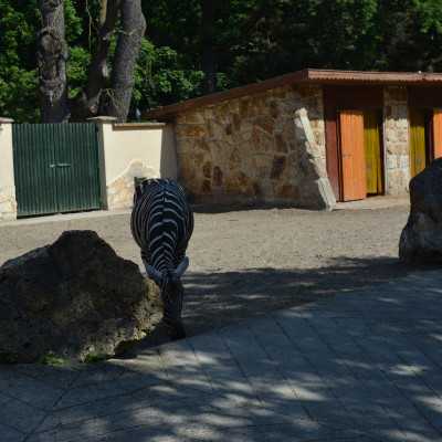 Csodálatos napot tölthettünk együtt a Nagyerdei Kultúrparkban - alapítvány, adó 1%, támogatás