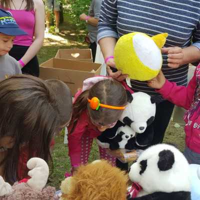 Csodálatos napot tölthettünk együtt a Nagyerdei Kultúrparkban - alapítvány, adó 1%, támogatás
