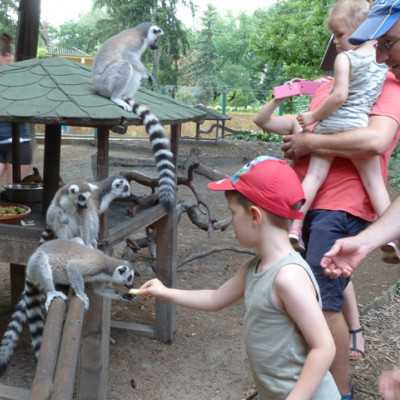 Teljesítettük a beteg kislány kérését - alapítvány, adó 1%, támogatás