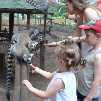 Teljesítettük a beteg kislány kérését - alapítvány, adó 1%, támogatás
