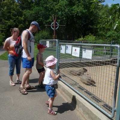 Teljesítettük a beteg kislány kérését - alapítvány, adó 1%, támogatás