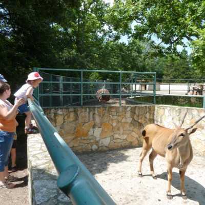 Teljesítettük a beteg kislány kérését - alapítvány, adó 1%, támogatás
