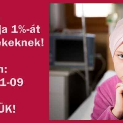 Adó 1% 2019 - alapítvány, adó 1%, támogatás