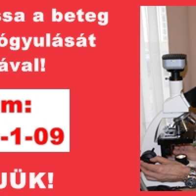 Adó 1% hasznos helyre - alapítvány, adó 1%, támogatás