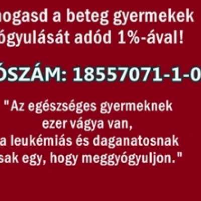 Adó 1% hasznos helyre - alapítvány, adó 1%, támogatás