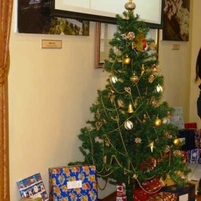 Az összefogás Karácsonya a leukémiás és daganatos beteg gyermekekért - alapítvány, adó 1%, támogatás