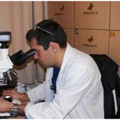 Célzott támogatás 2015. márciusban - alapítvány, adó 1%, támogatás