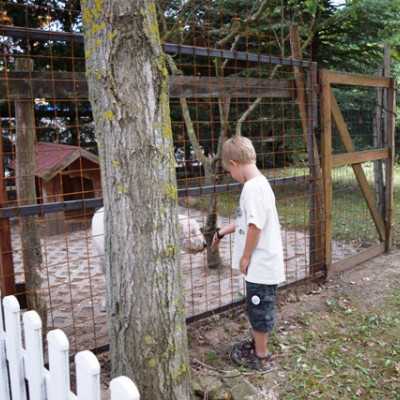 Családi nap Sasvári Sándornál - alapítvány, adó 1%, támogatás