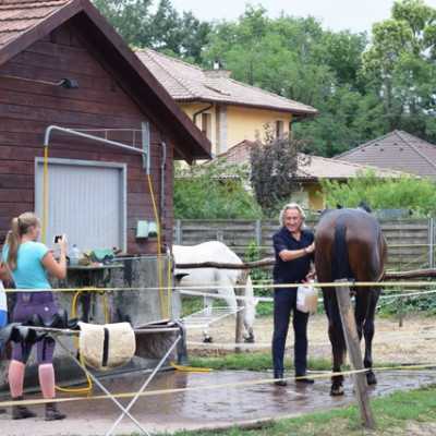 Családi nap Sasvári Sándornál - alapítvány, adó 1%, támogatás
