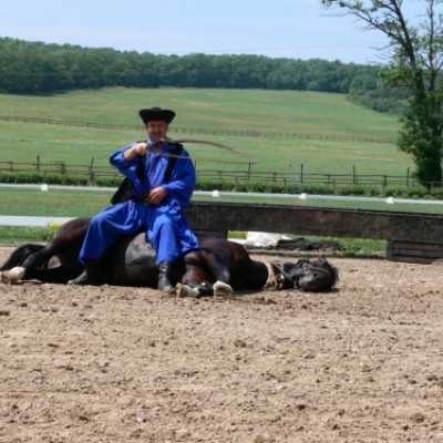 Családok kirándulása a Lázár Lovasparkba - adó, 1%, alapítvány, támogatás