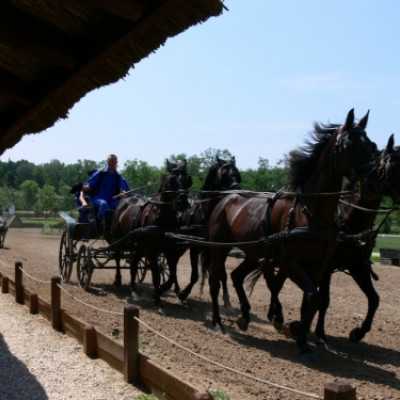 Családok kirándulása a Lázár Lovasparkba - adó, 1%, alapítvány, támogatás