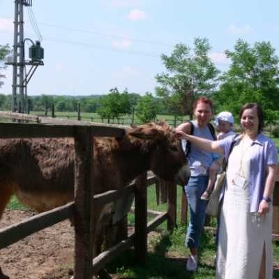Családok kirándulása a Lázár Lovasparkba - adó, 1%, alapítvány, támogatás