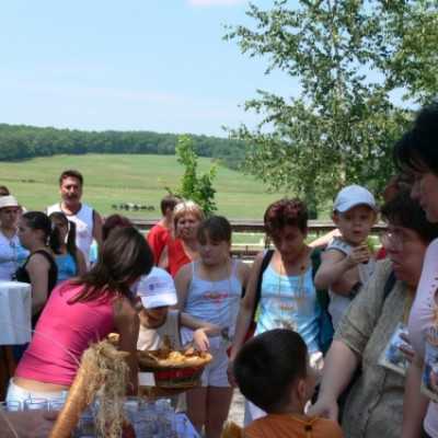 Családok kirándulása a Lázár Lovasparkba - adó, 1%, alapítvány, támogatás