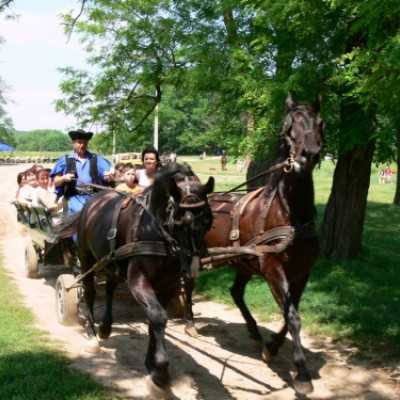 Családok kirándulása a Lázár Lovasparkba - adó, 1%, alapítvány, támogatás