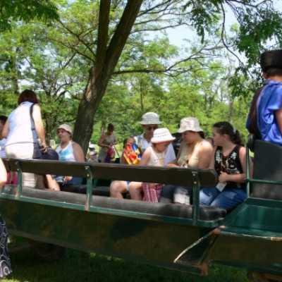 Családok kirándulása a Lázár Lovasparkba - adó, 1%, alapítvány, támogatás